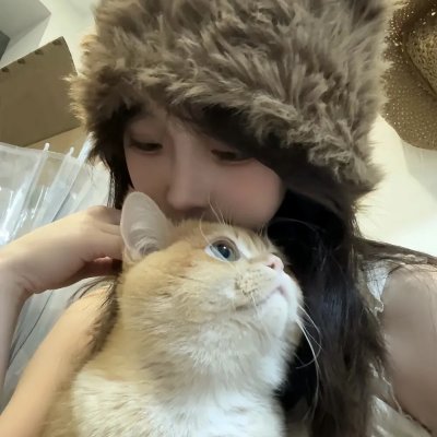 花落莺啼春封面
