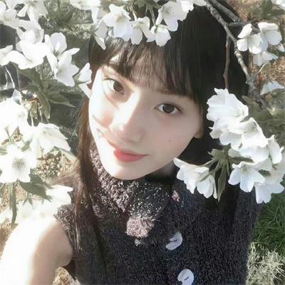 所念皆如愿封面
